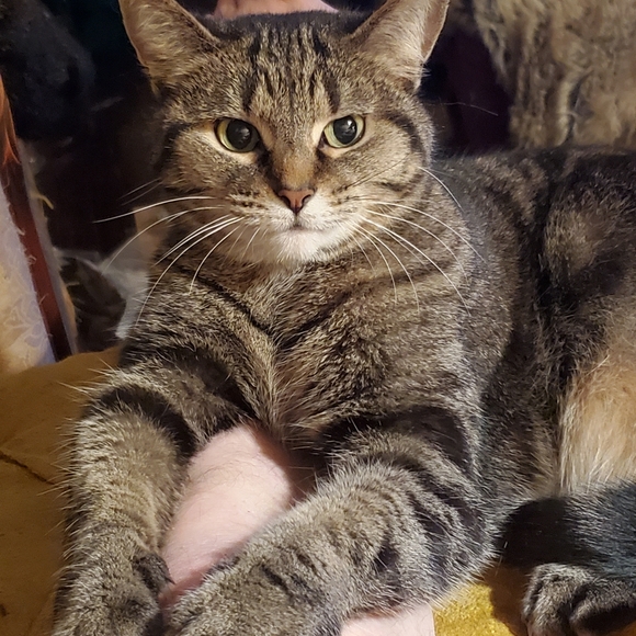 Meet your Posher, Mark - Picture 6 of 8